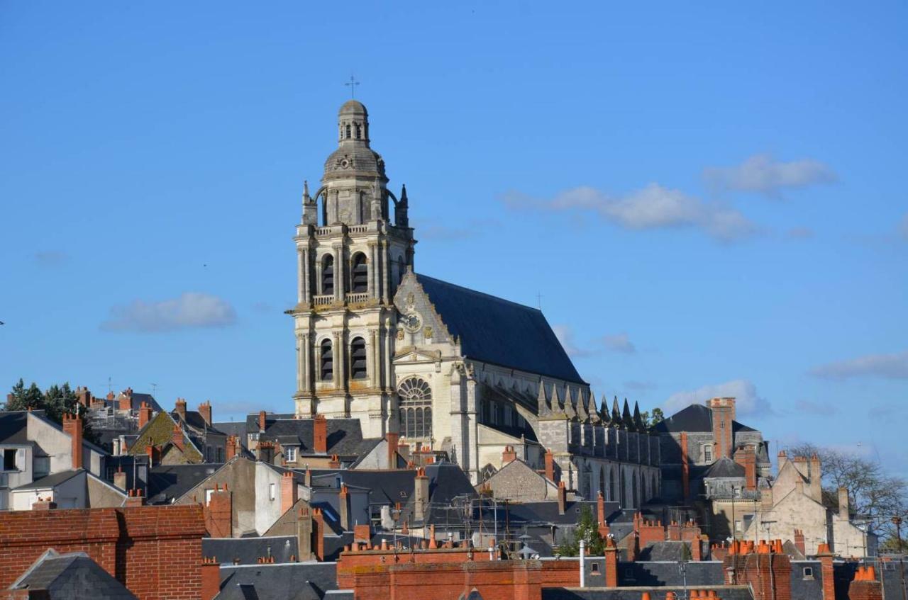 Appartement Le Rive Gauche Blois Eksteriør billede